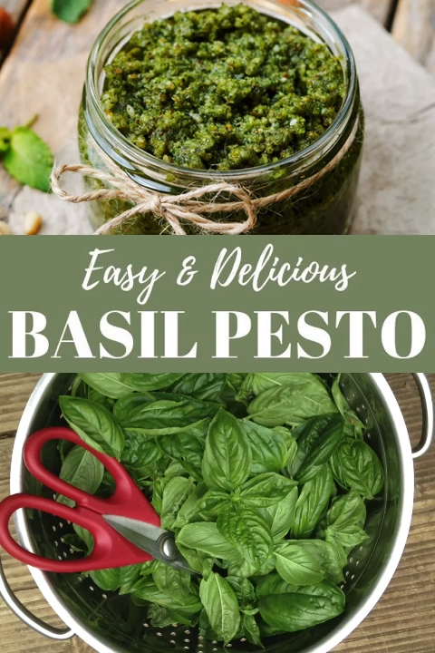 Basil Pesto Recipe {with a video} -   19 pesto recipe ideas