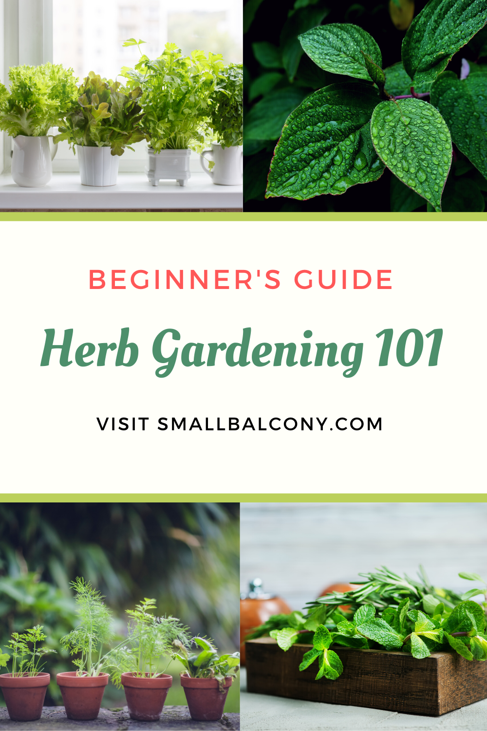 Grow Herbs on Your Apartment Balcony - Beginner DIY Guide -   19 plants Balcony articles ideas