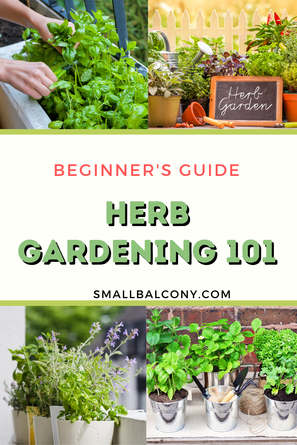 Beginner's Guide to Growing Herbs on a Small Balcony -   19 plants Balcony articles ideas