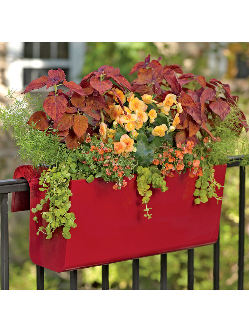 Viva Self-Watering Balcony Railing Planter | $99+ Orders Ship Free -   19 plants Balcony articles ideas