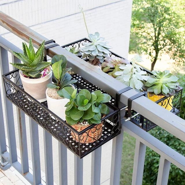 19 plants Balcony articles ideas