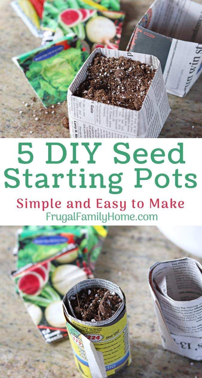 DIY Seed Starting Containers -   19 plants House seed starting ideas