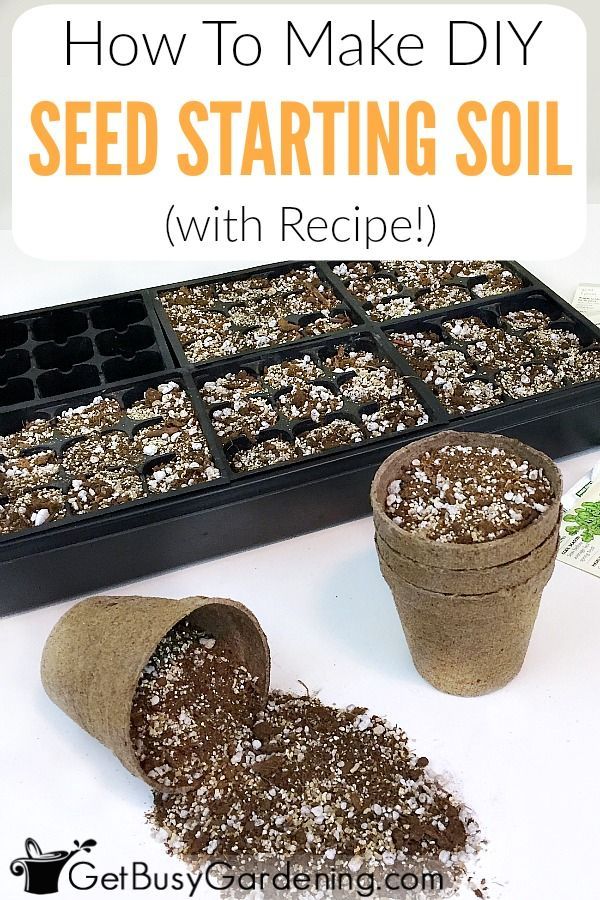 How To Make Your Own DIY Seed Starting Mix (With Recipe!) -   19 plants House seed starting ideas