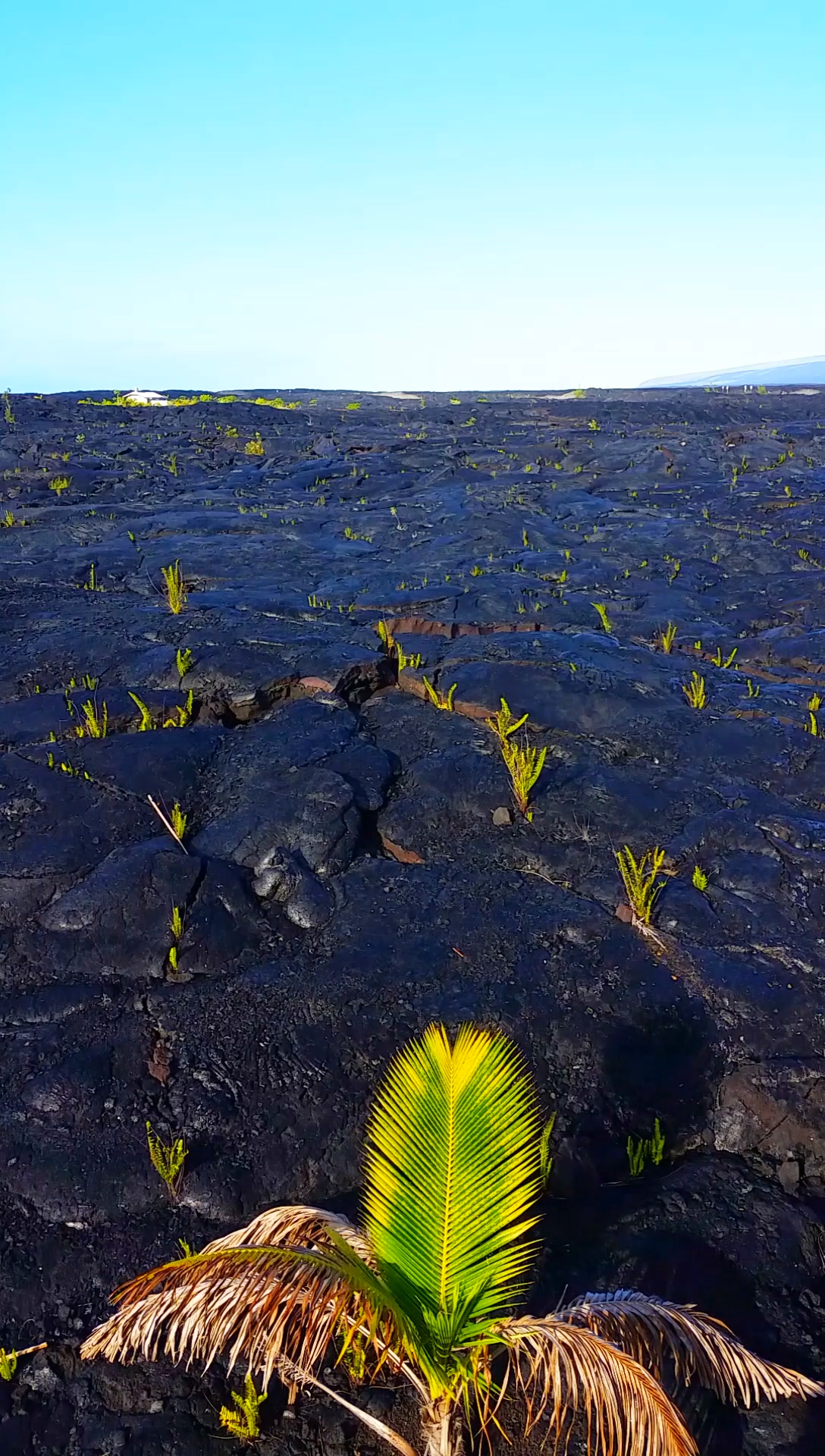 Where to see lava fields from your room near volcanoes national park рџЊ‹ Big Island -   19 travel destinations Hawaii the big island ideas