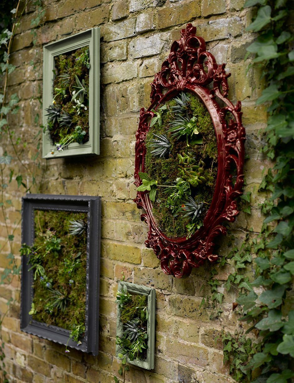 How to make a wall garden with succulent plants in picture frames -   15 garden design fun ideas