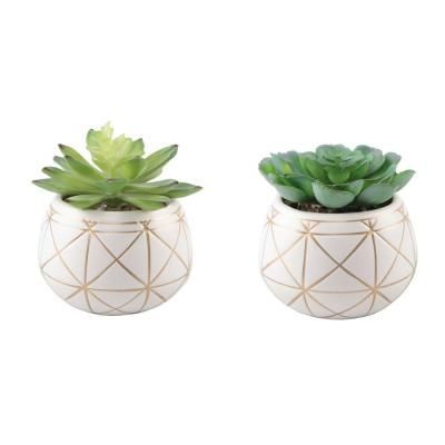 Flora Bunda Set of 2 Succulent in 4 in. GEO Gold Round Ceramic Planter -   16 plants Tumblr life ideas