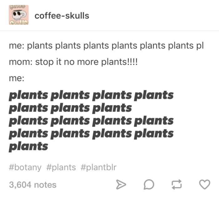 21 Jokes About Plants That Will Make You Love And Fear Them -   16 plants Tumblr life ideas