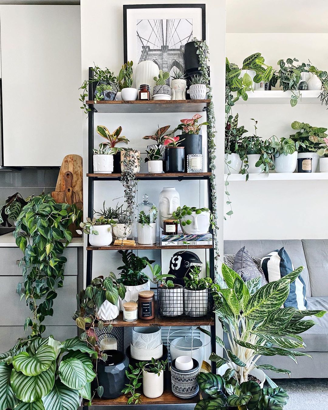 vertical garden wall shelf indoor living room -   16 plants Tumblr life ideas