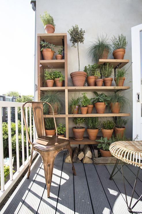 Westwing -   18 planting Balcony potted ideas