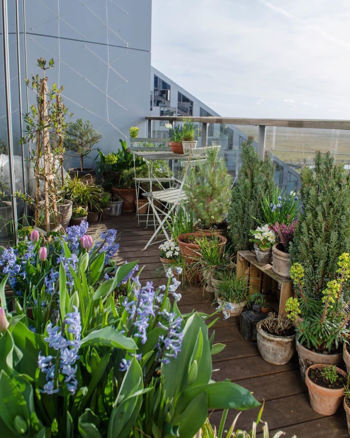 Balcony Garden Ideas That Prove Anyone Can Create One—No Green Thumb Required -   18 planting Balcony potted ideas