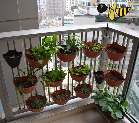 70 Nicest Balcony Garden Ideas! -   18 planting Balcony potted ideas