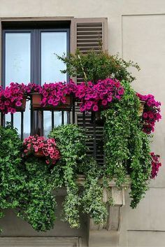 40 Window and Balcony Flower Box Ideas (PHOTOS) - Home Stratosphere -   18 planting Balcony potted ideas