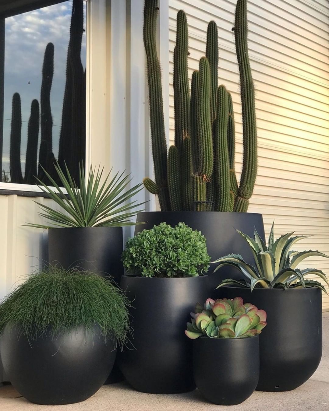 The Balcony Garden on Instagram: “@exotic_nurseries sure know how to create the ULTIMATE pot cluster! Lusting over this awesome collection of pots & plants! >> Don't forget…” -   18 planting Balcony potted ideas