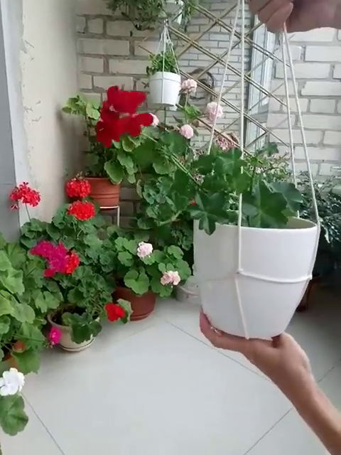 Hanging flowers trick рџ¤«рџ¤«рџ¤« -   18 planting Balcony potted ideas