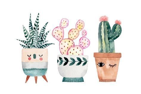 Art Print: Watercolor Hand-Drawn Illustration with Cactus and Succulents. Green House Plants Illustrations. Cu by Maria Sem : 24x16in -   18 planting Illustration paintings ideas