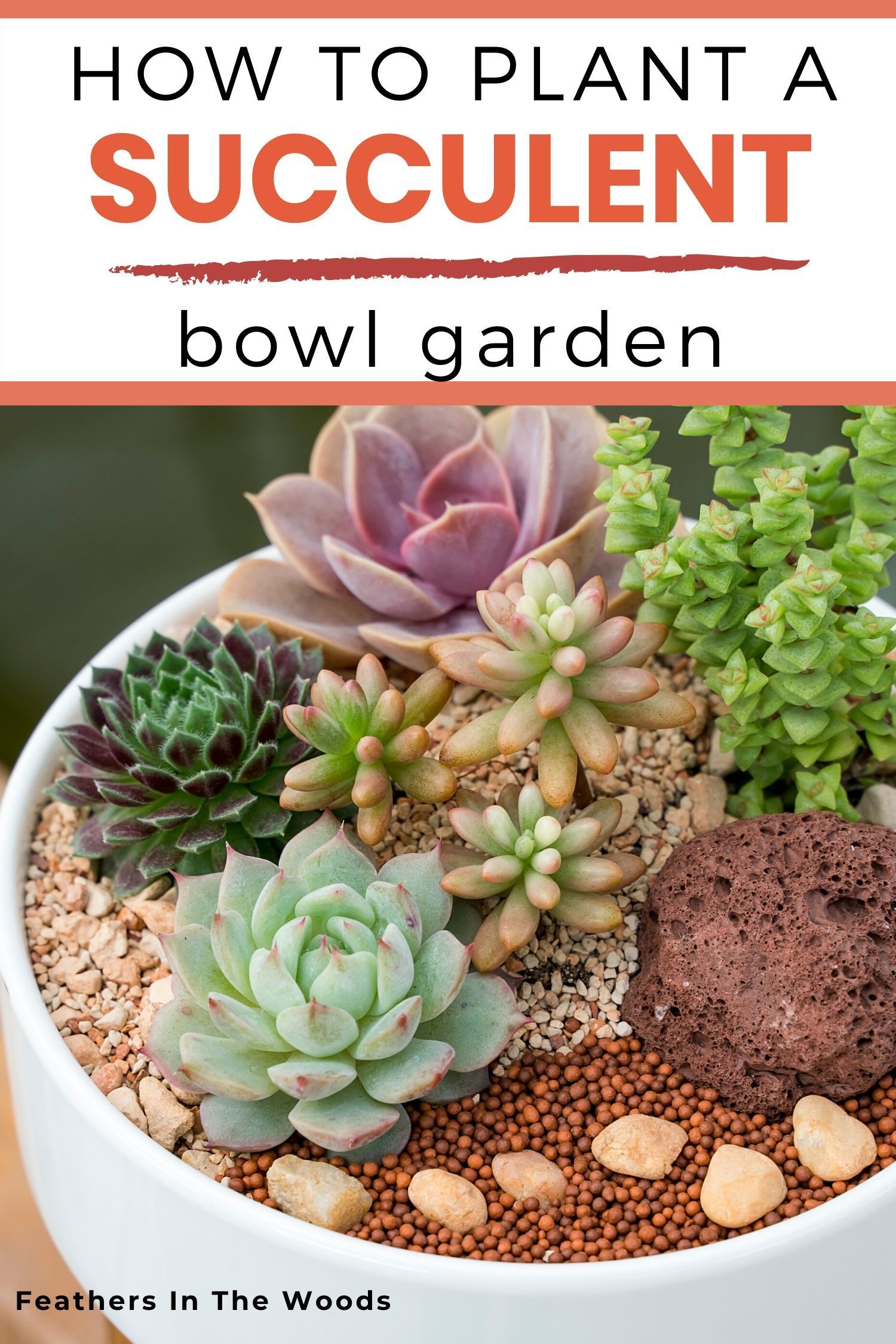 How to plant a mini bowl garden -   18 planting succulents in glass ideas