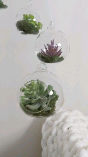 Hanging Terrarium Mobile -Succulent Decor -Gender Neutral Baby Mobile -Hanging Spinning Succulents -Air Plant Decoration -Botanical Nursery -   18 planting succulents in glass ideas