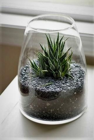 41 Ways To (Re) Use Your Jars At Home -   18 planting succulents in glass ideas