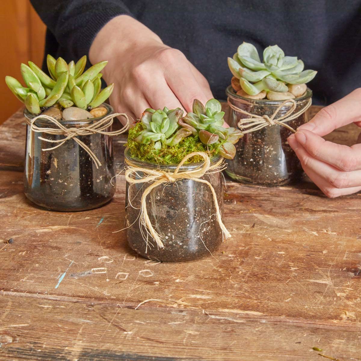 Planting Succulents in Recycled Glass Jars -   18 planting succulents in glass ideas