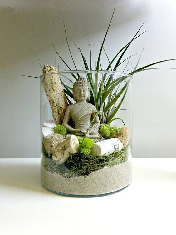 Decorating with Air Plants - Air Plant Displays and Terrarium - My Tasteful Space -   19 plants Interieur verre ideas