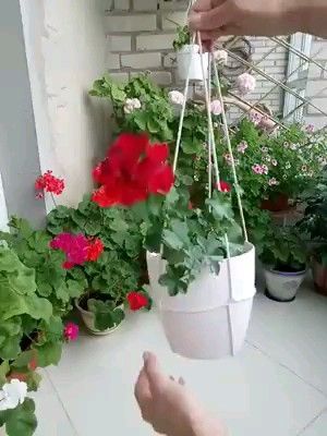 Make Your Plants Hang With This Cool String Trick -   diy projects Decoration plants