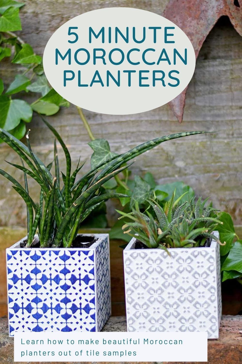 diy projects Decoration plants