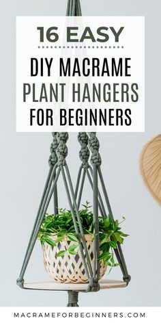 diy projects Decoration plants