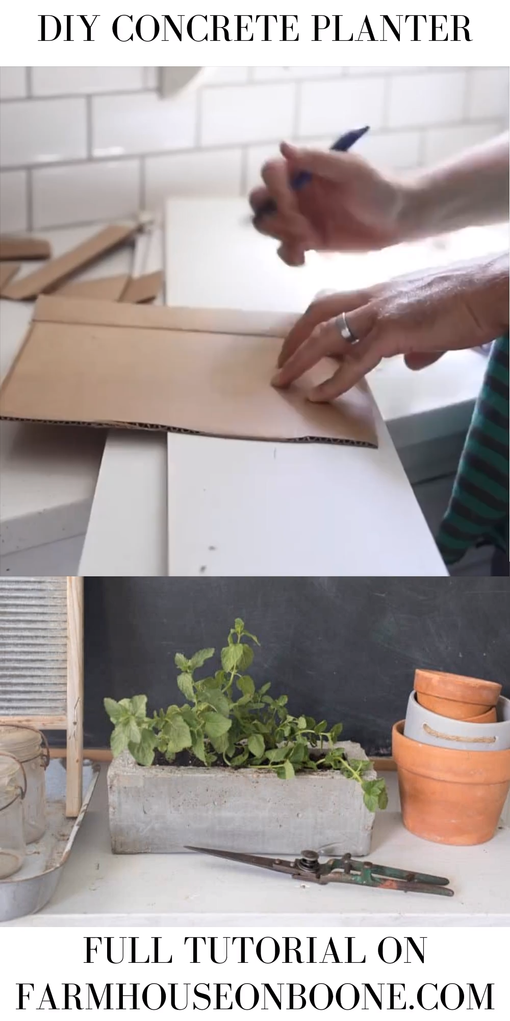 diy projects Decoration plants