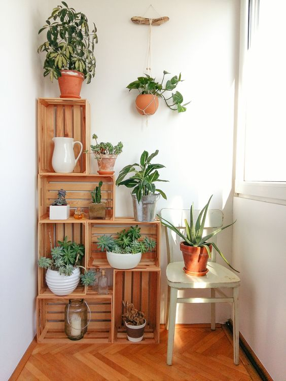 diy projects Decoration plants