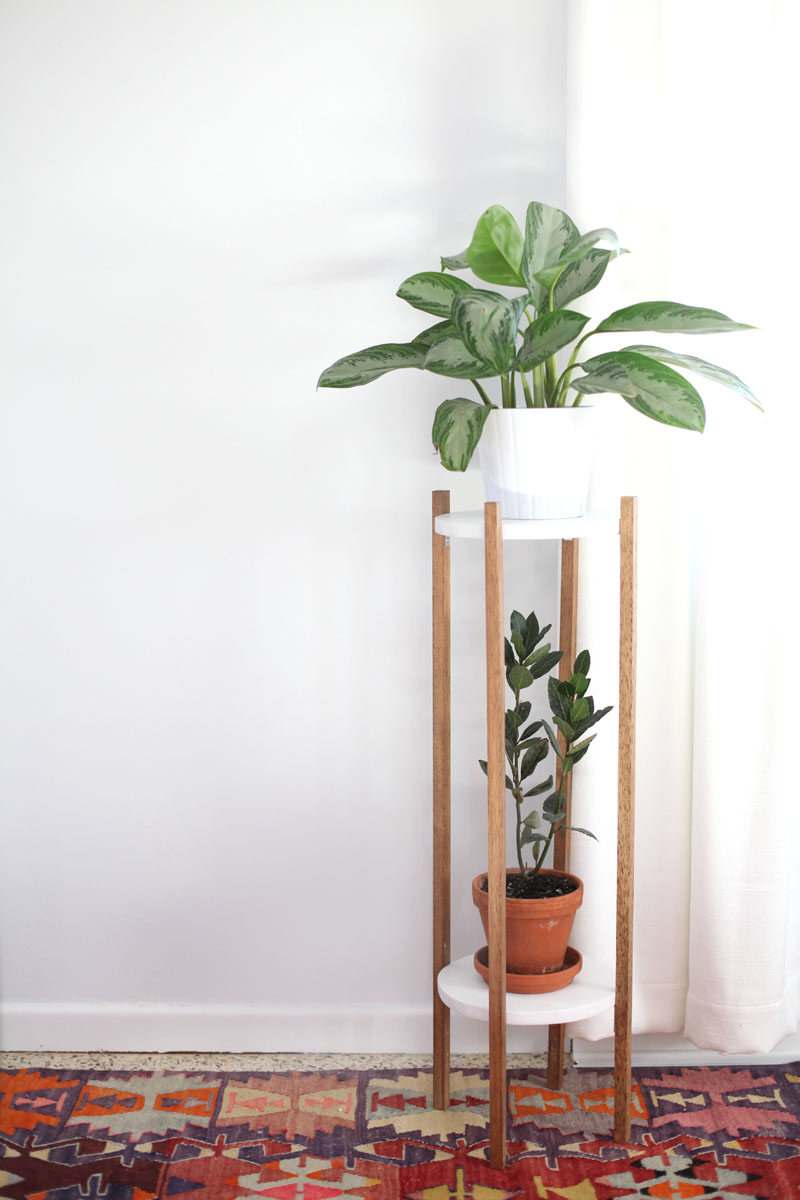 diy projects Decoration plants