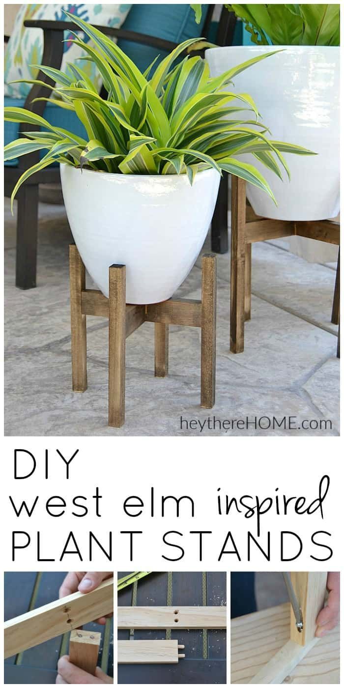 diy projects Decoration plants