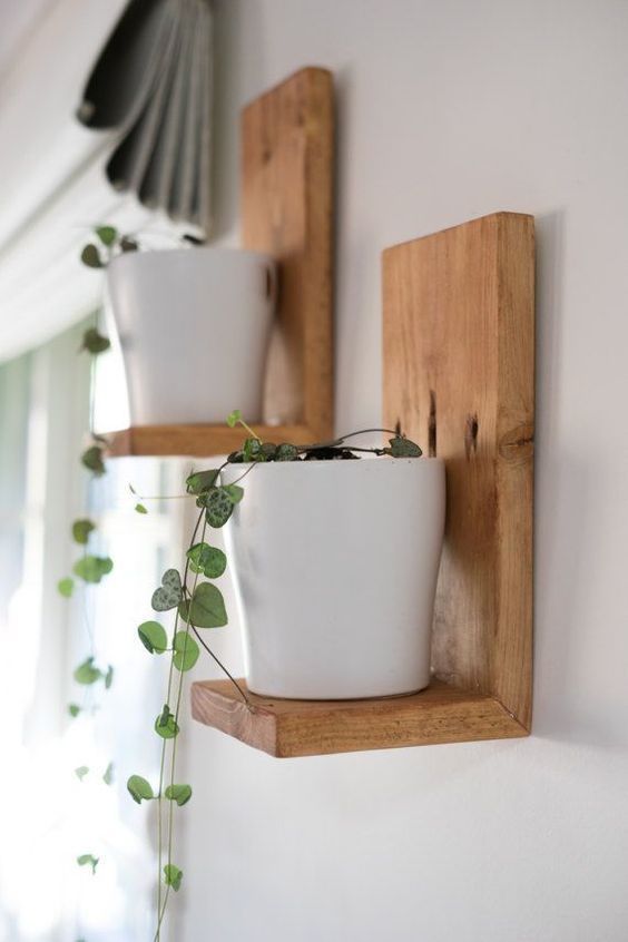 diy projects Decoration plants