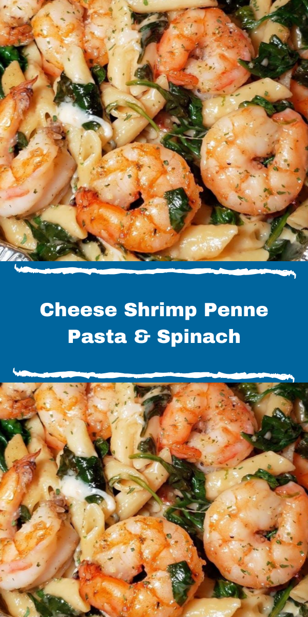 Cheese Shrimp Penne Pasta & Spinach -   healthy recipes Dinner shrimp