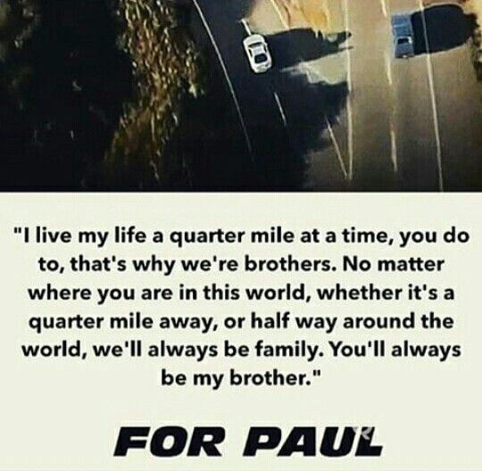 15 paul walker quotes fast and furious ideas