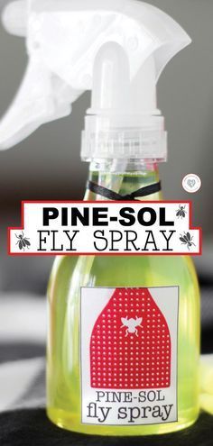 Pine Sol Fly Spray -   18 how to get rid of flies outside ideas