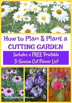 How to Grow A Cutting Garden - Gingham Gardens -   beauty Flowers garden
