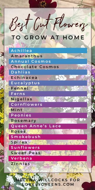 Grow a Cut Flower Garden for Homegrown Bouquets -   beauty Flowers garden