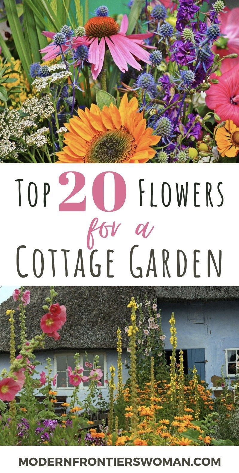 Top 20 Flowers for a Cottage Garden -   beauty Flowers garden