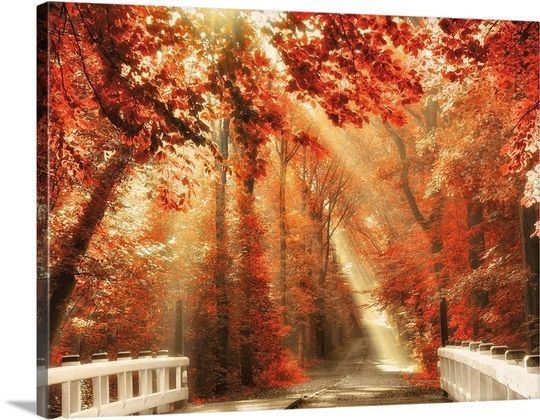Red for Rest Solid-Faced Canvas Print -   beauty Pictures awesome