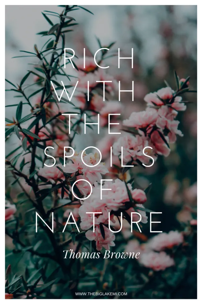 15 Beautiful Quotes about Nature and Wilderness to inspire you -   beauty Quotes for friends
