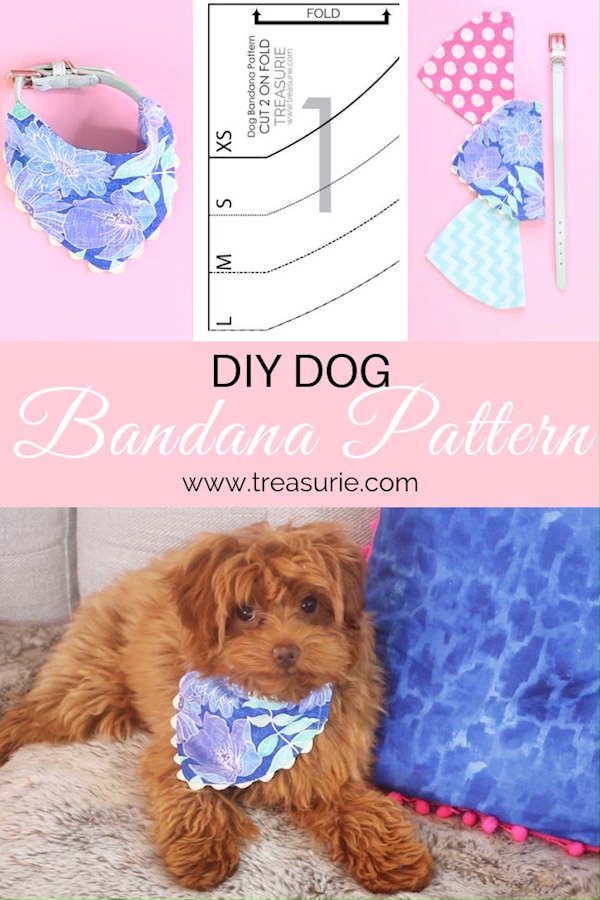 diy Dog clothes