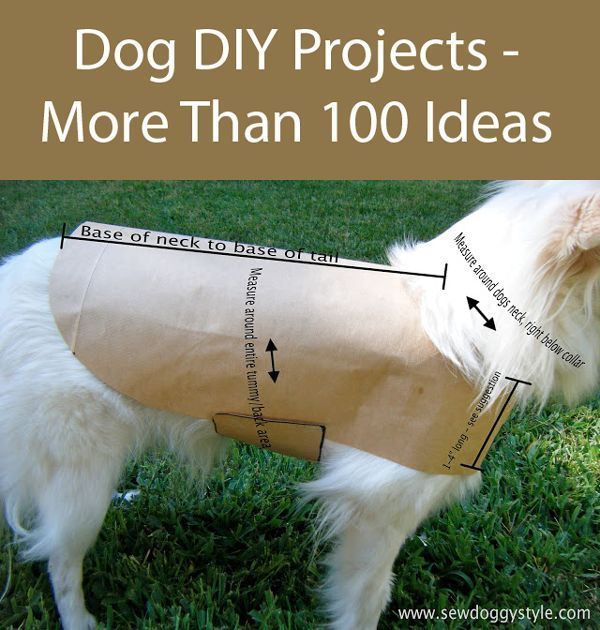 diy Dog clothes