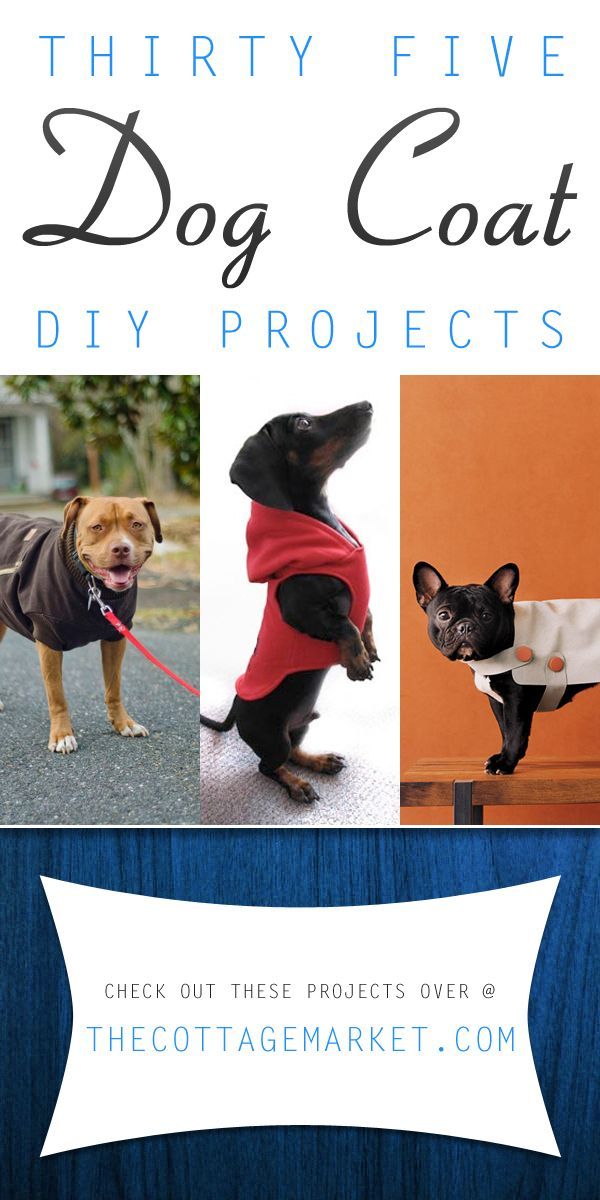 diy Dog clothes