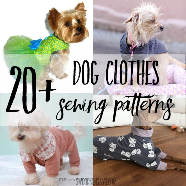 diy Dog clothes