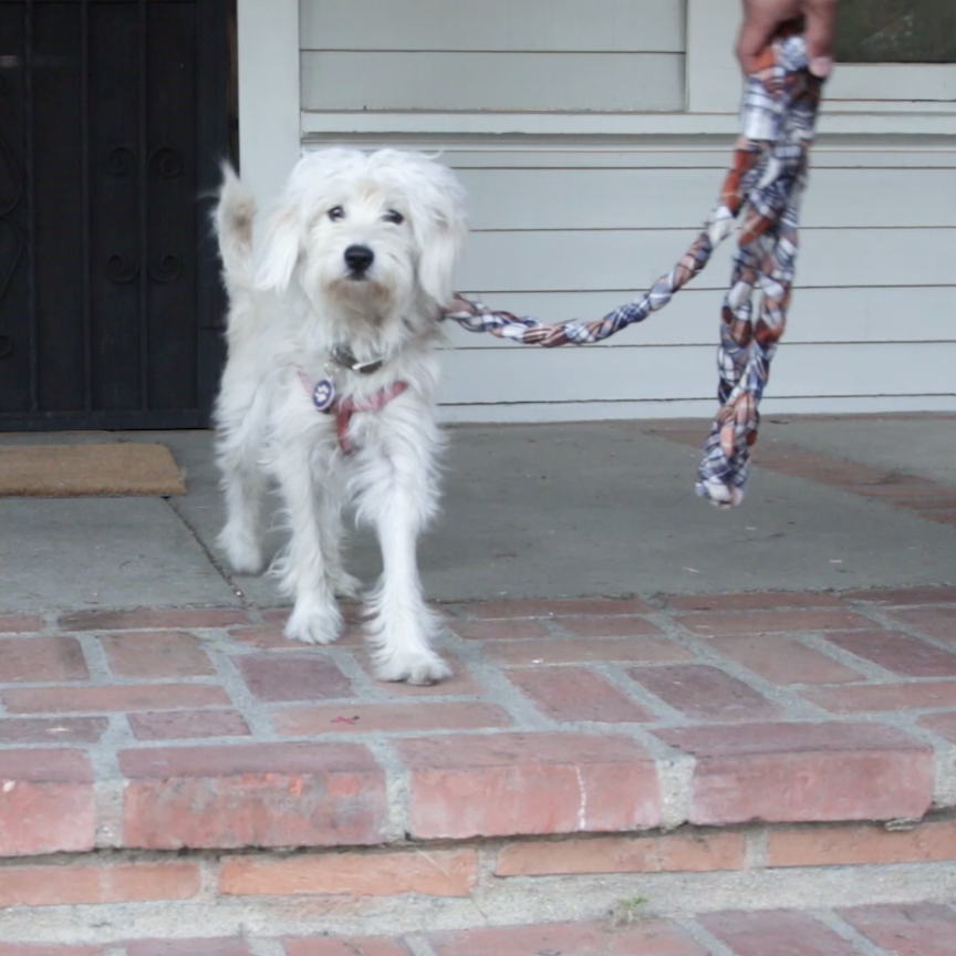 Turn An Old Flannel Shirt Into An Adorable Dog Leash -   diy Dog crafts