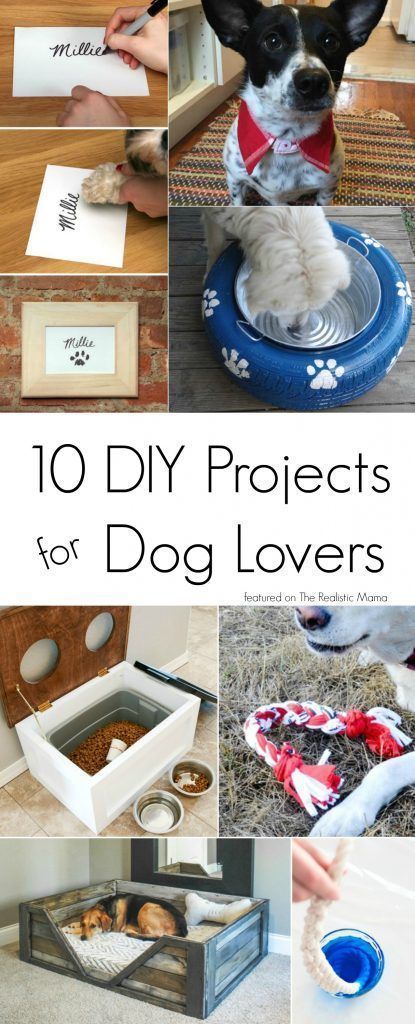 10 DIY Projects for Dog Lovers - The Realistic Mama -   diy Dog crafts