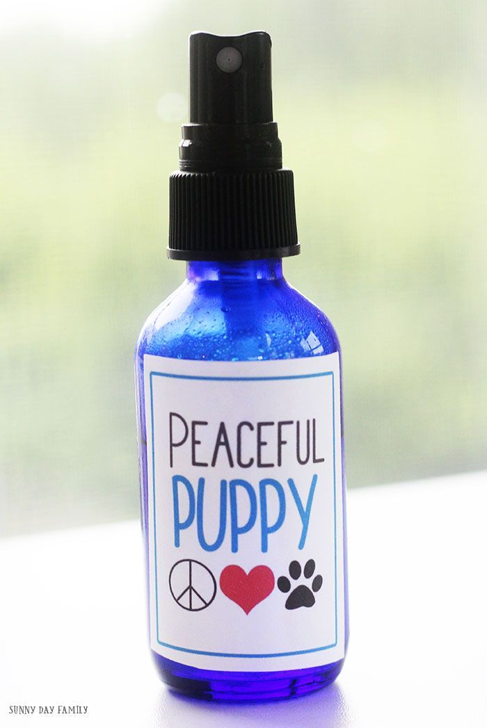 DIY Dog Calming Spray with Free Printable Bottle Labels -   diy Dog crafts