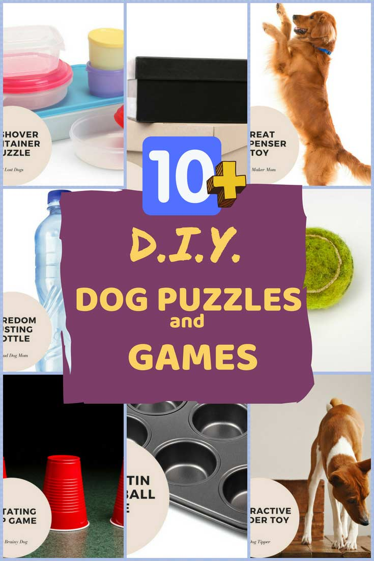 10+ Best DIY Dog Puzzle Toys and Games to Make at Home -   diy Dog crafts