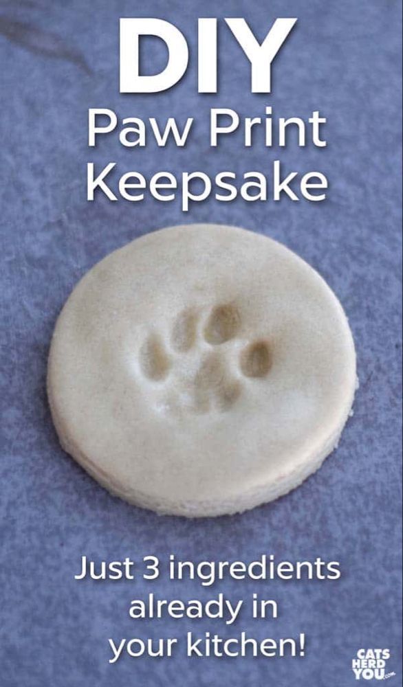DIY Cat Paw Print Keepsakes - Cats Herd You -   diy Dog crafts