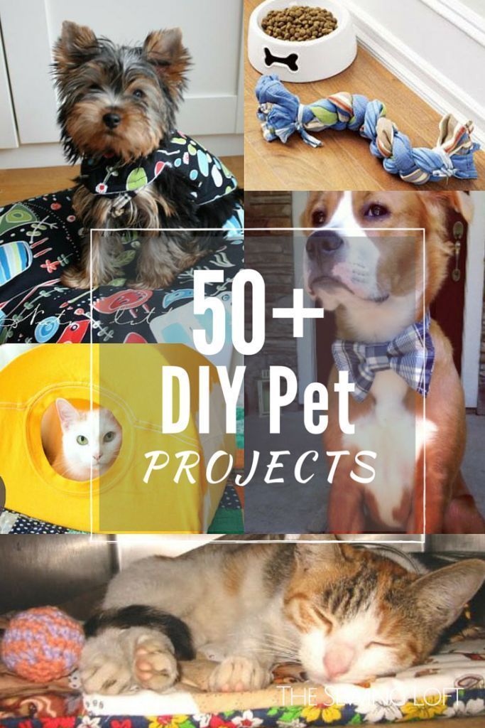50+ DIY Pet Projects - The Sewing Loft -   diy Dog crafts